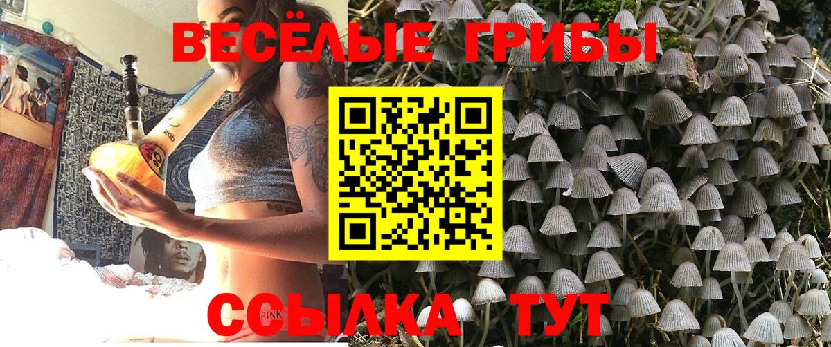 Галлюциногенные грибы MAGIC MUSHROOMS  Вход с VPN  Красногорск 