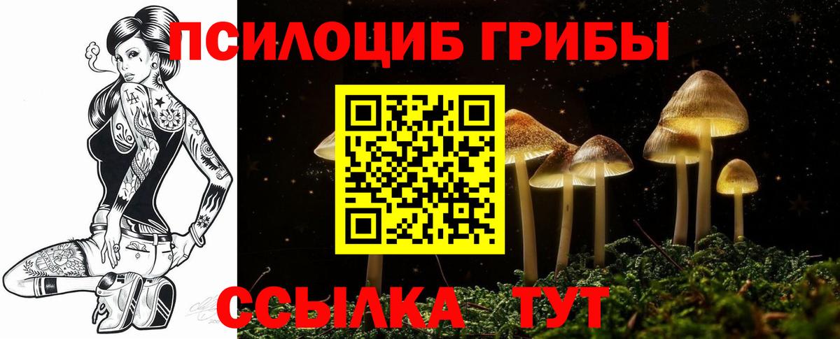 Галлюциногенные грибы мицелий Красногорск